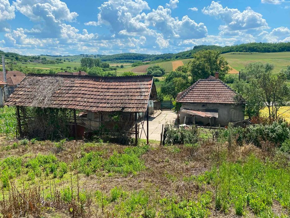 Casă de vânzare Burzuc