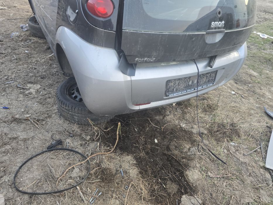 Aripi bari smart forfour