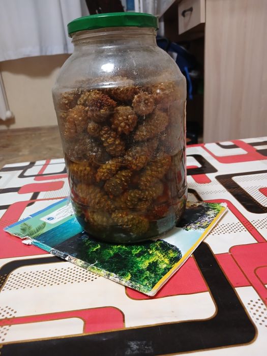 Сироп из сосновый шишек 2000тг