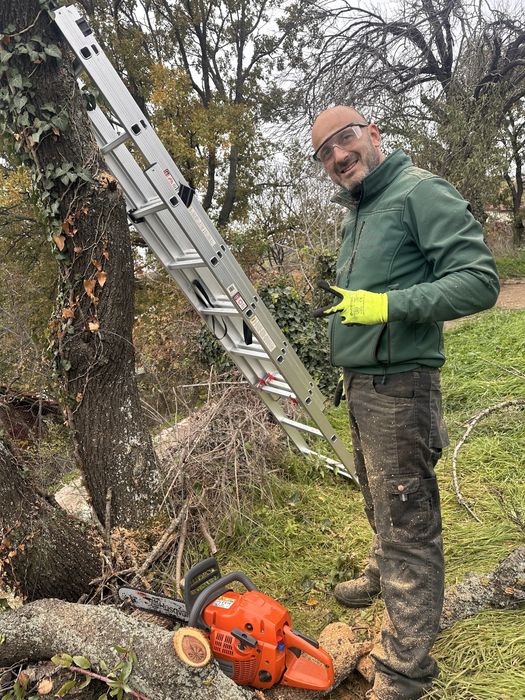 Рязане на дървета, санитарна сеч, дробене на клони, извозване