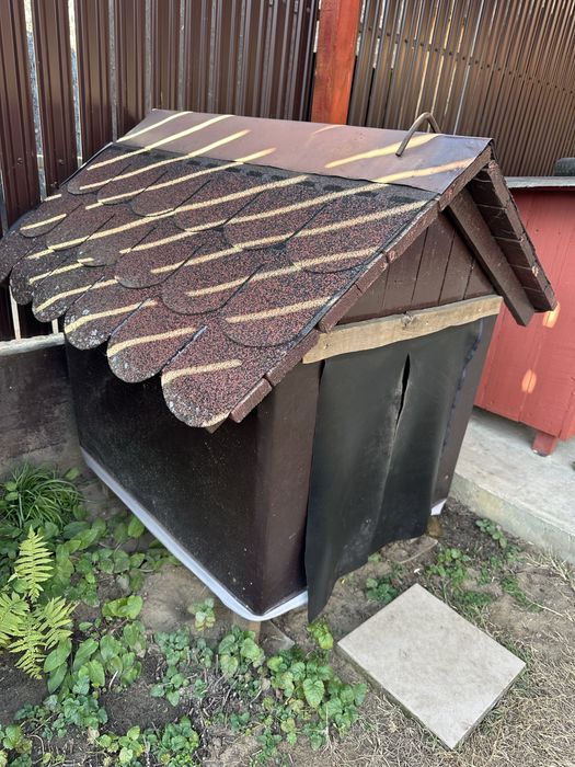 Cusca caine / cușcă câine