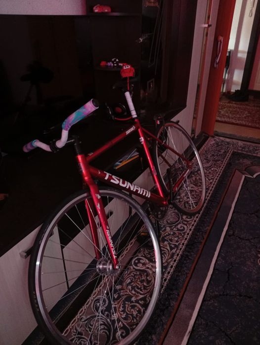 Тсуник фикс снм 100