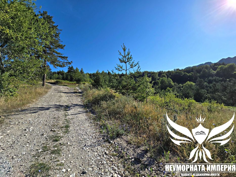 Продава се Парцел в с. Мостово, Област Пловдив - 868 кв.м за 52 €/кв.м - Снимка #19