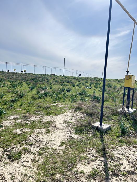 Участок Кайнар булакта