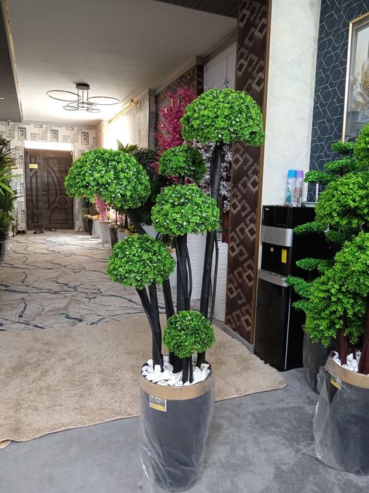 Suniy gullar. Suniy daraxtlar. Искусственные цветы и растения, деревья