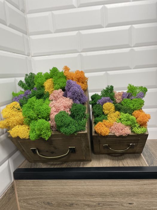 Скандинавски мъх,декорации,подаръци