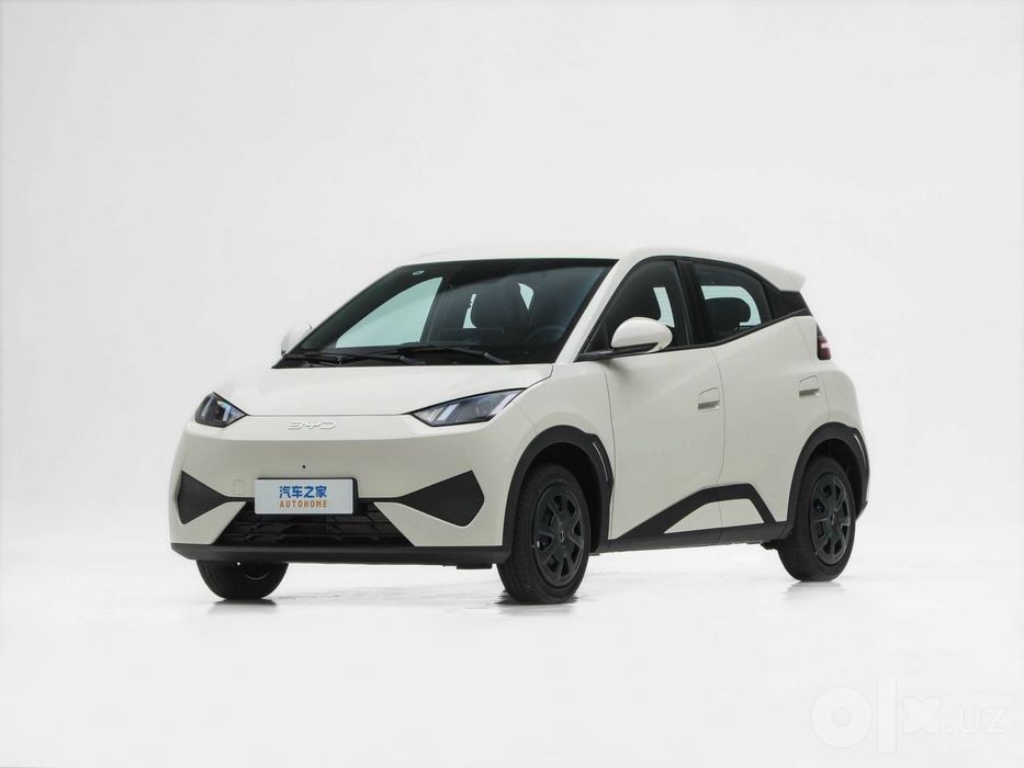 Byd seagull 2026