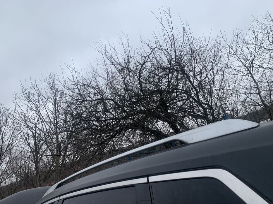 bare cupola nissan x-trail 1.6 motorina 2015