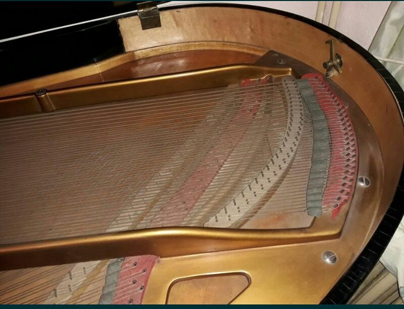 Pian cu coada scurta Bösendorfer