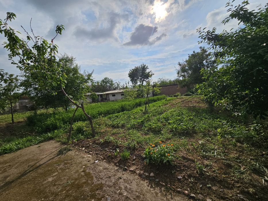 Продам свою дачу(24сотки) со всеми удобствами и постройками