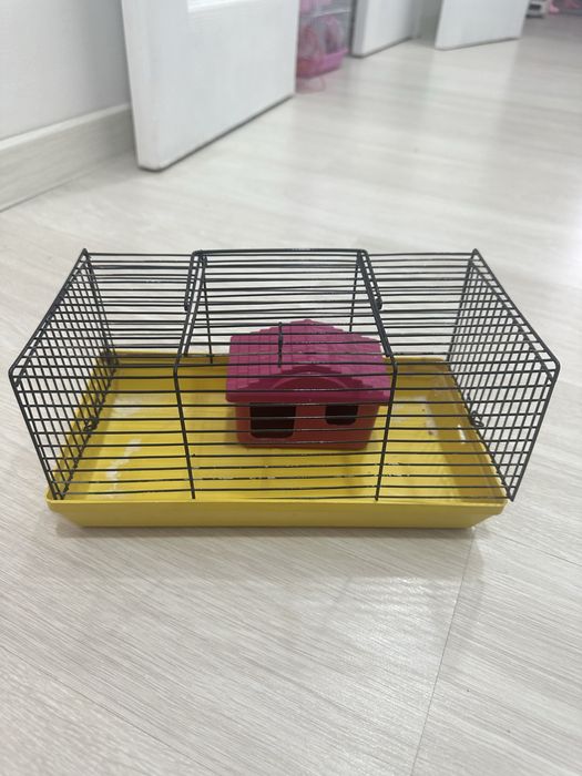 Целый набор для хомяков