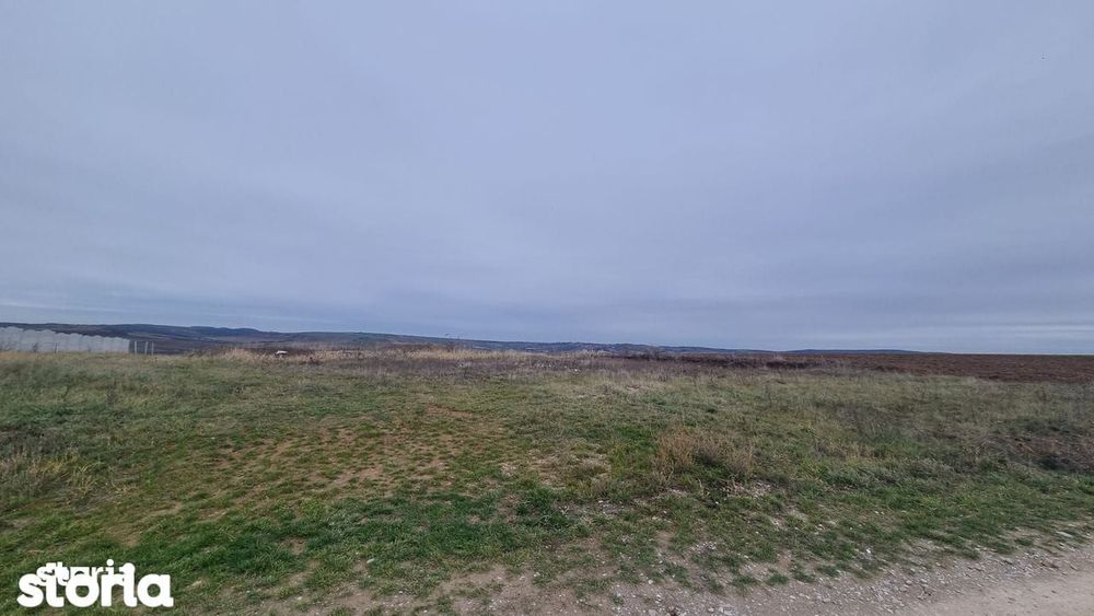 Teren de vânzare Paleu