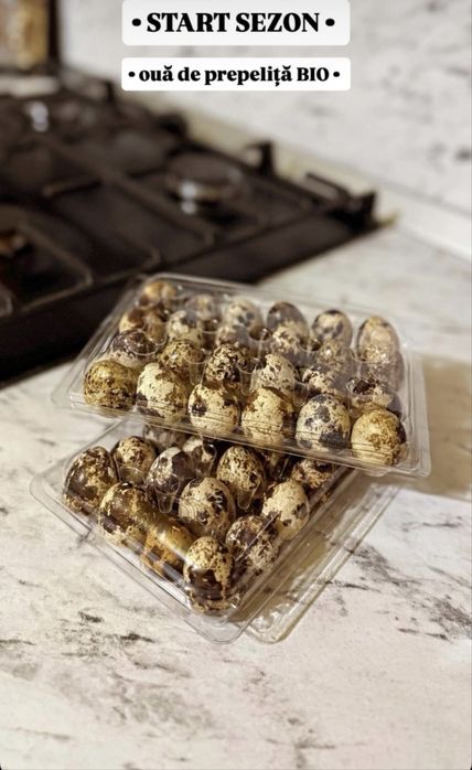 Ouă de prepelițe !