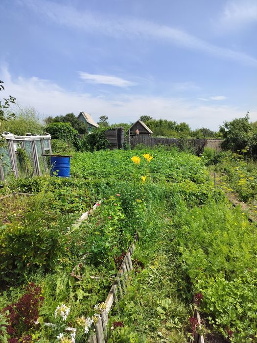 Дача  Сортировка