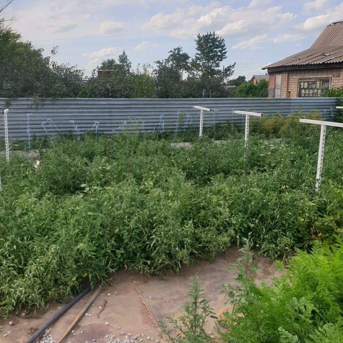 Продам дачу в обществе Весна