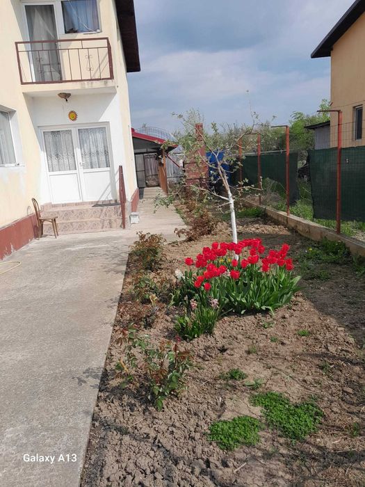 Casa de vanzare, Bujoreanca