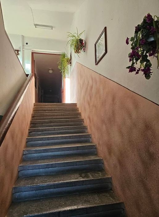 Apartament la casă curte comună