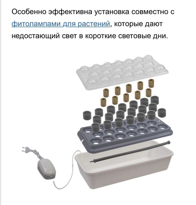 Чудо грядка