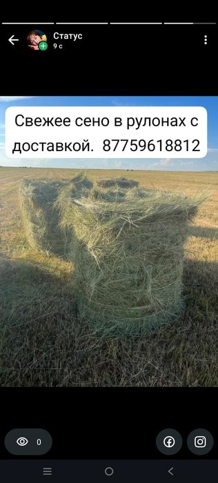 Сено с доставкой