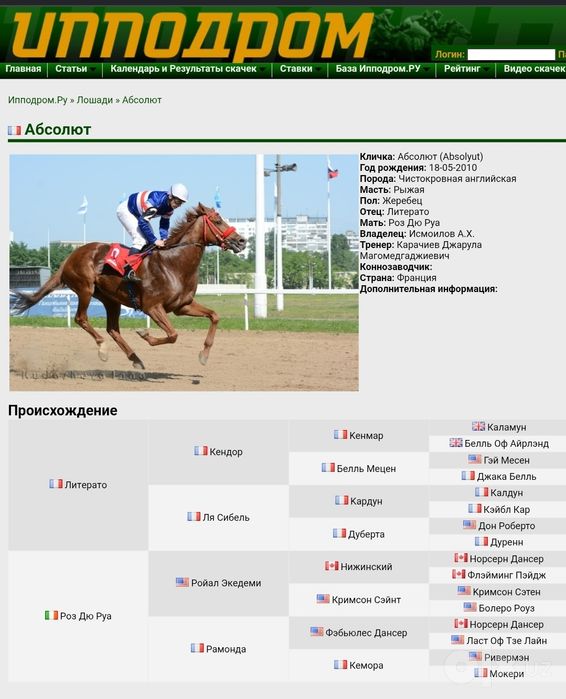 Ot sotiladi Продаётся Чистокровная английская лошадь