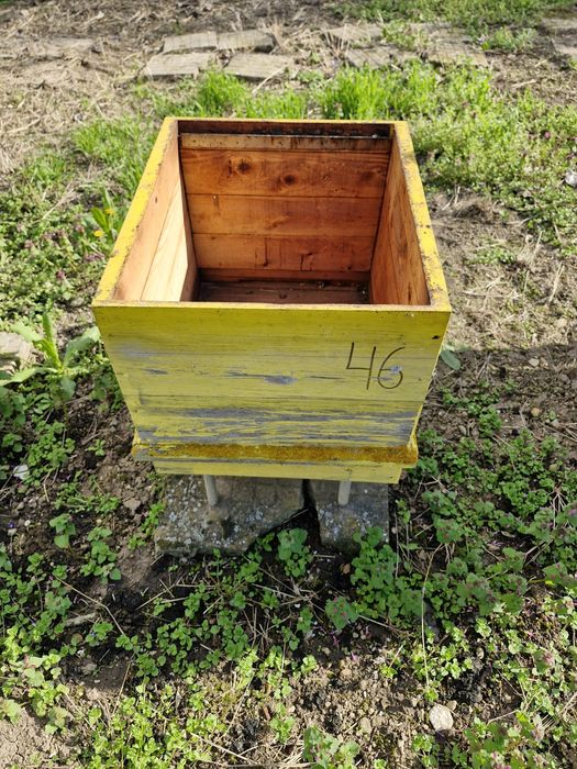 Празни   кошери дадан блад