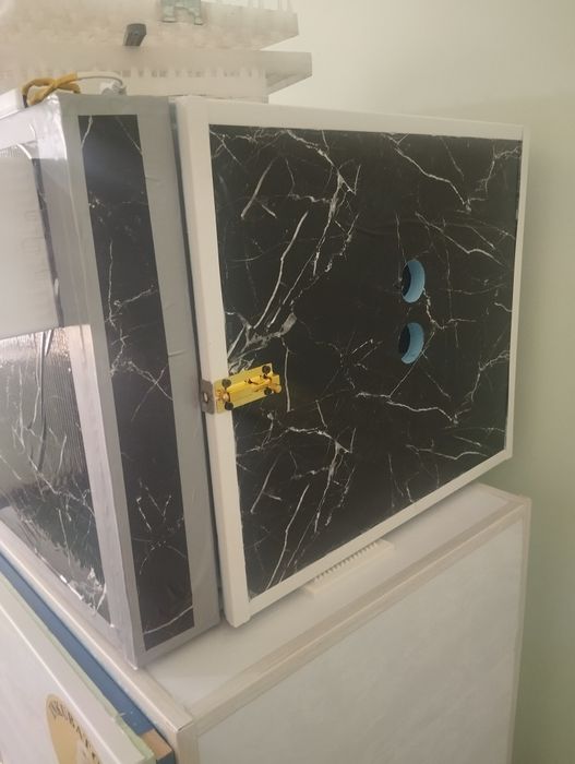 Инкватор 172 талик