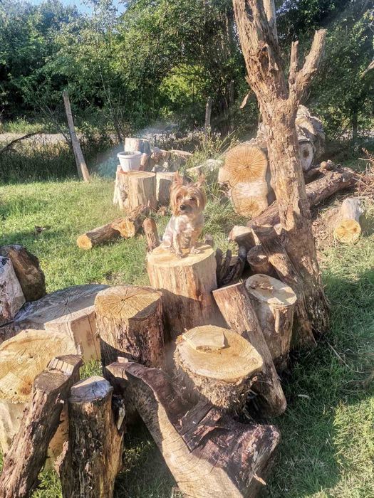 Пънчета за градина