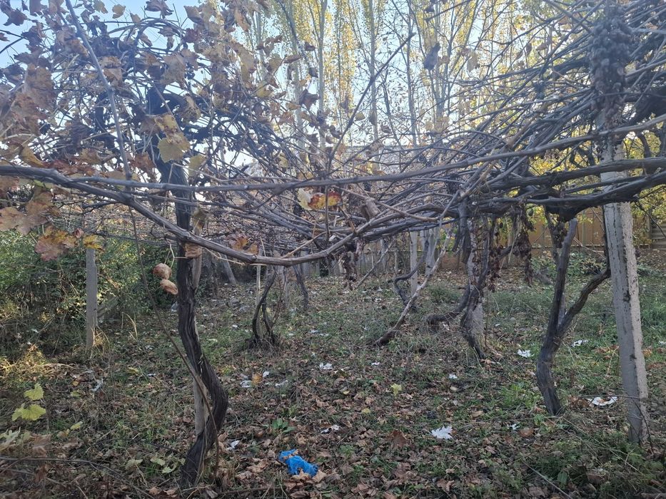 Oqtosh tomonda dacha uchun joy