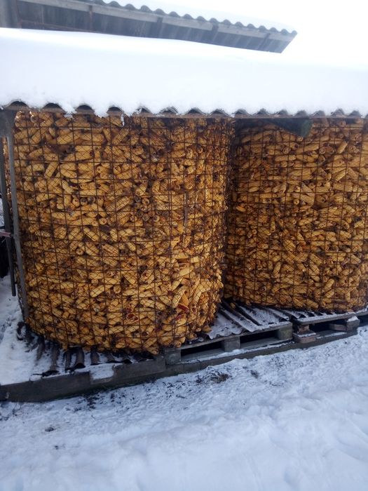 Vând porumb știuleți și boabe