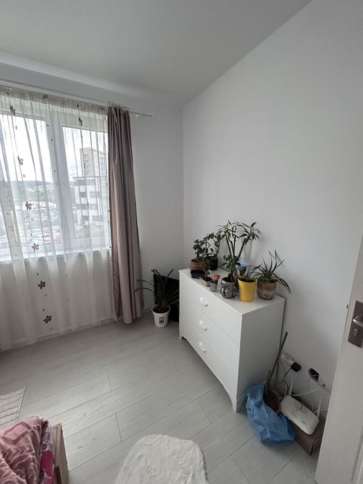 Colega de apartament