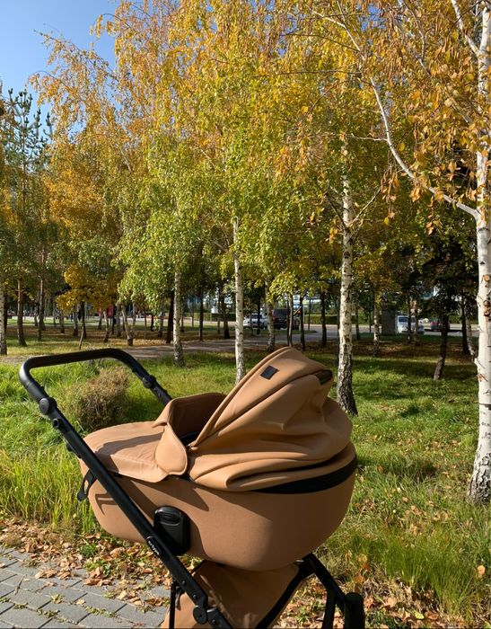 Коляска Anex e-type