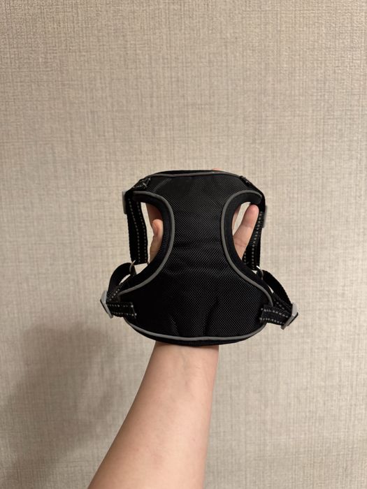 шлейка для кота или маленькой собаки