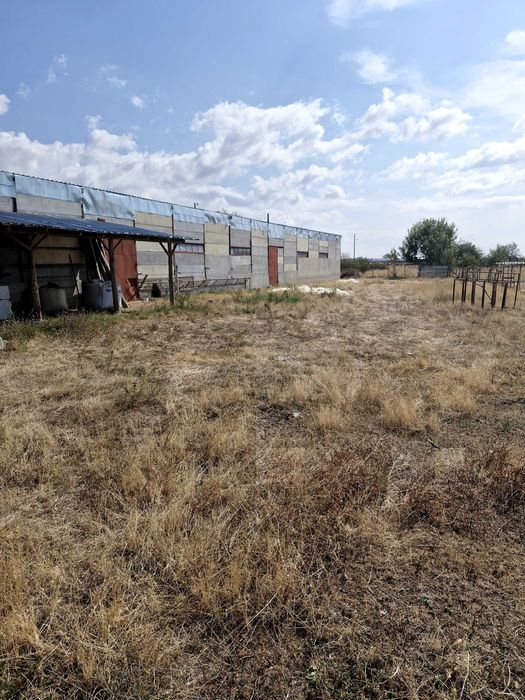 Продава се Промишлена сграда в с. Бегово, Област Пловдив - 3000 кв.м за 34 €/кв.м - Снимка #1