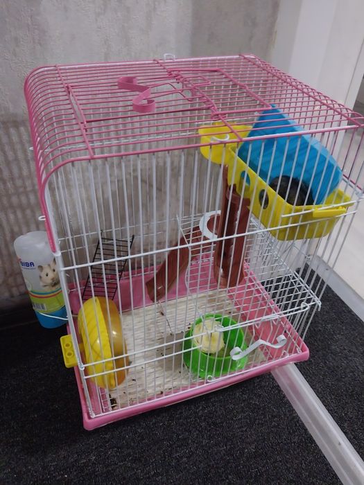 Продам хомяков с клеткой