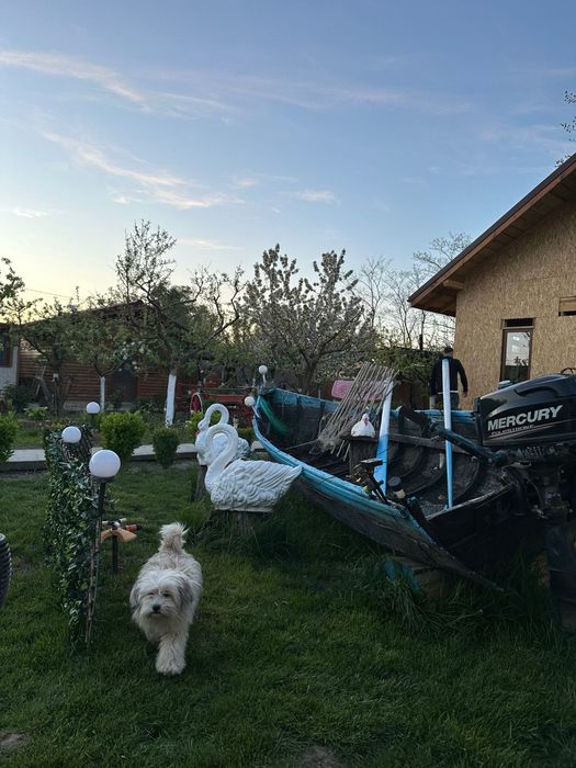 Închiriez căsuțe de vacanță in Delta