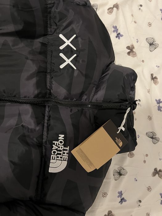 Geaca the north face