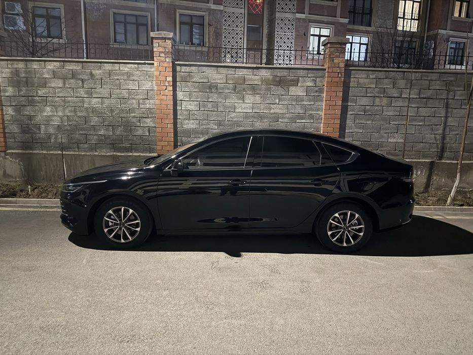 Byd Chazor 55 om luxe