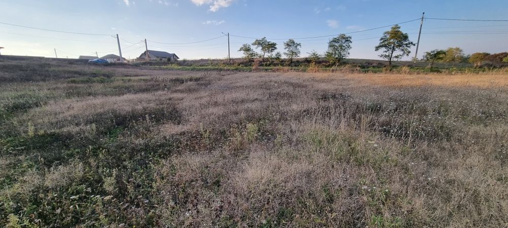 teren 1250 metri pătrați Ipotești, com.M.Eminescu