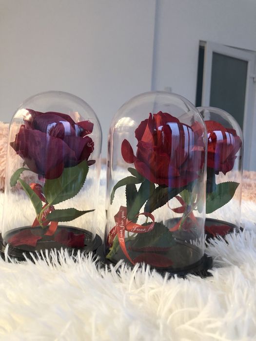 Trandafiri in cupola