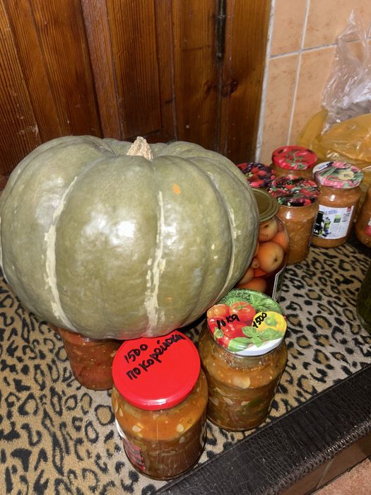 Тыква домашняя за 2000тг