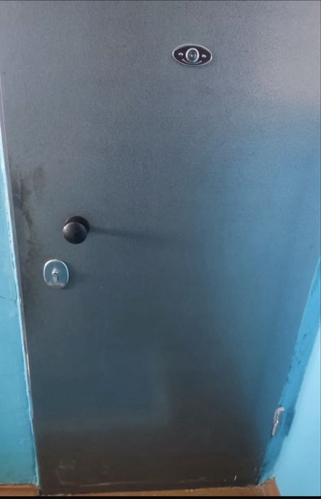 Дверь металлическая