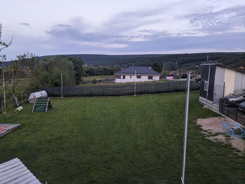 Dresaj canin scoala Dogisland K9