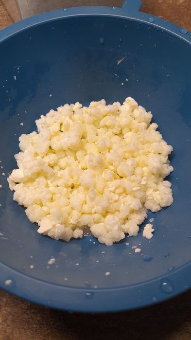 Granule de kefir