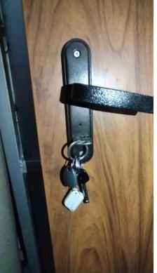 Блиндирана входна врата* естествен фурнир.