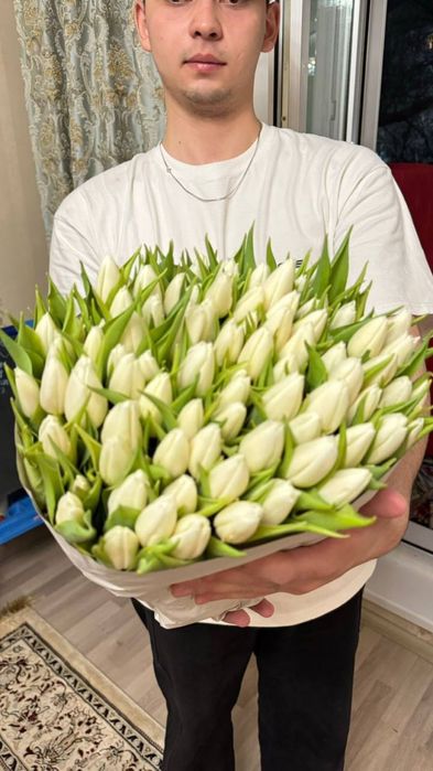 Голладские тюльпаны