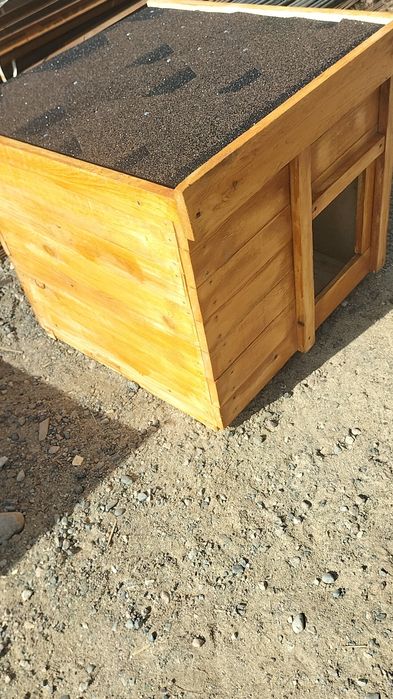 Бутка. для собачий