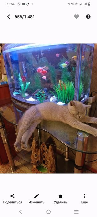 Аквариум 70 литров