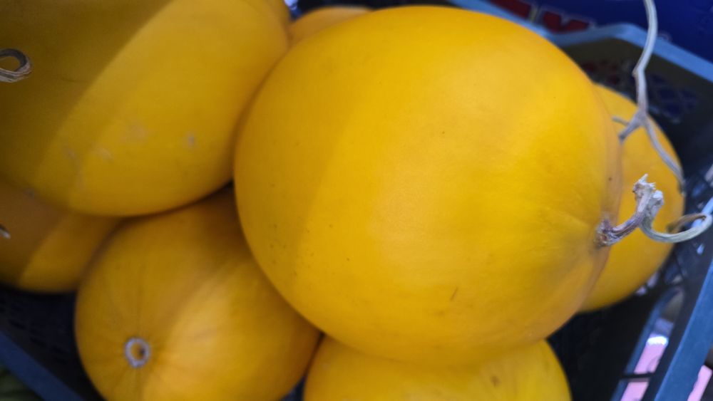 Продам готовый бизнес