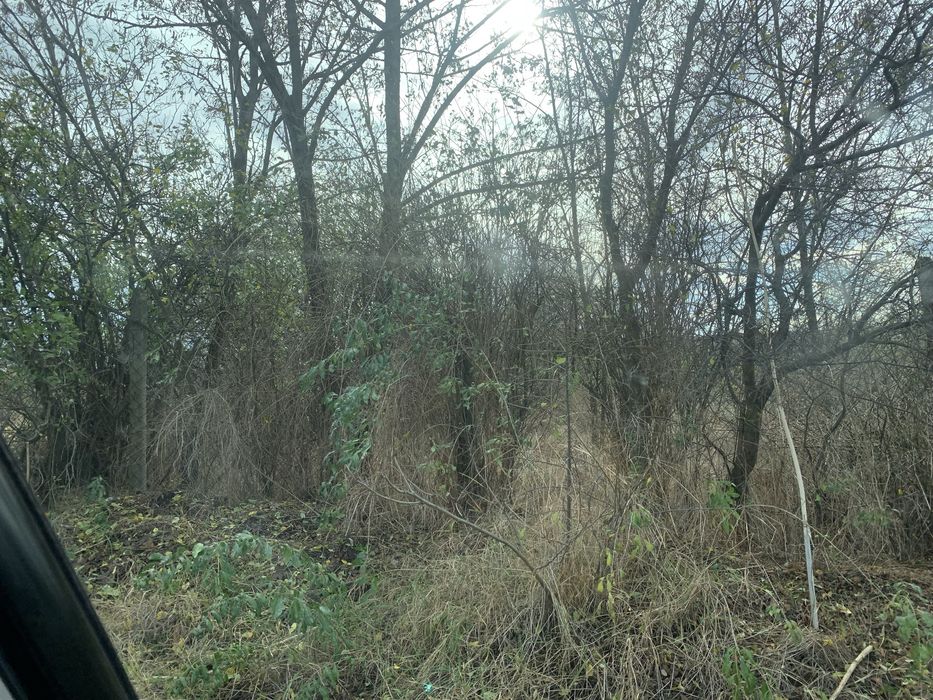 Продава се Парцел в с. Овчи кладенец, Област Ямбол - 1595 кв.м за 2 €/кв.м - Снимка #1