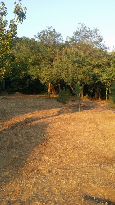 Продава се Парцел в с. Банкя, Област Перник - 1200 кв.м за 75 €/кв.м - Снимка #10